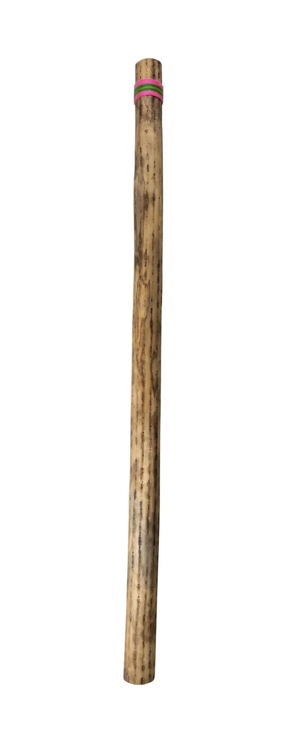 trophy-wp14-regenstab-40-zoll-kaktus-handgemacht image 1