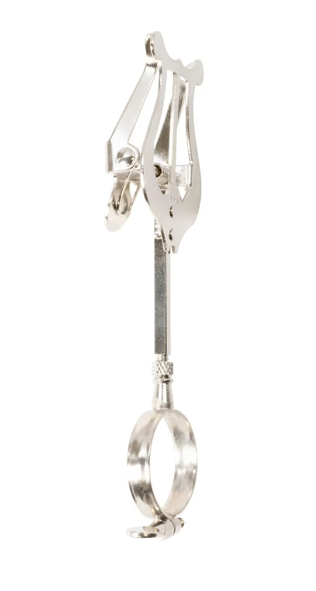 bandstand-tr9506n-klarinetten-lyra-mit-ring-nickel image 1