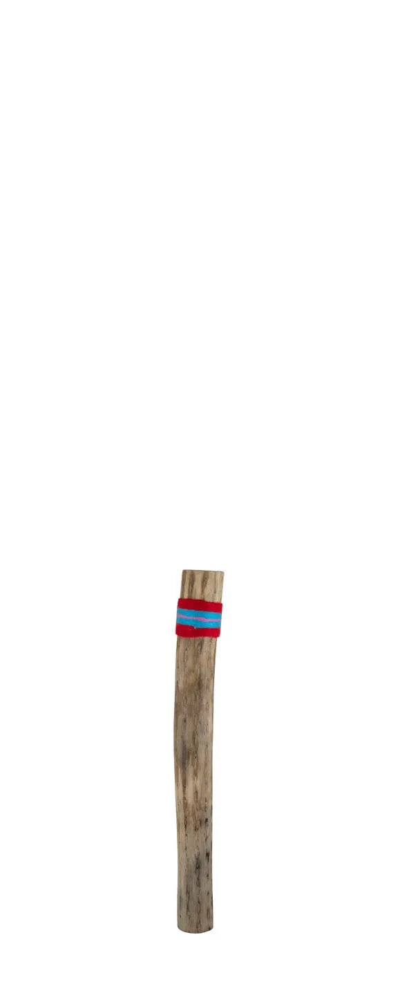 trophy-wp10-rainstick-kaktus-38-cm-15-zoll-natur image 1