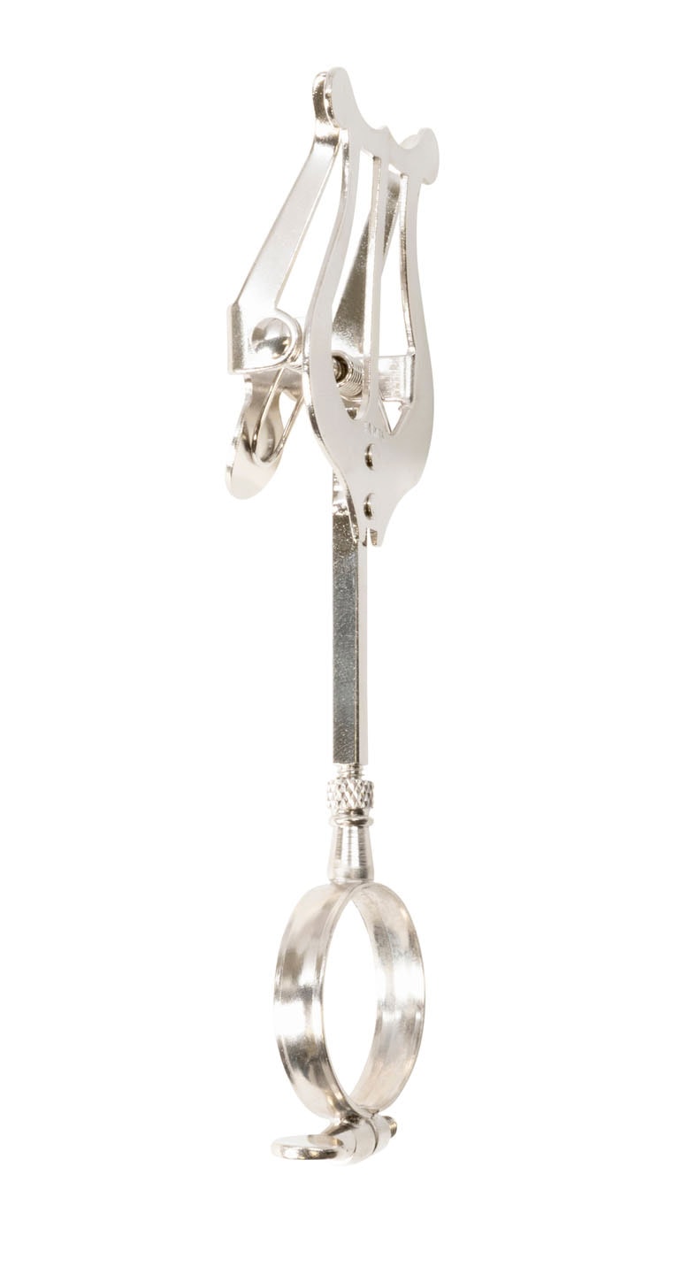 bandstand-tr9506n-klarinetten-lyra-mit-ring-nickel image 1