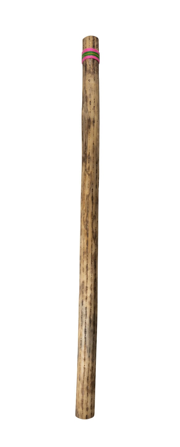 trophy-wp14-regenstab-40-zoll-kaktus-handgemacht image 1