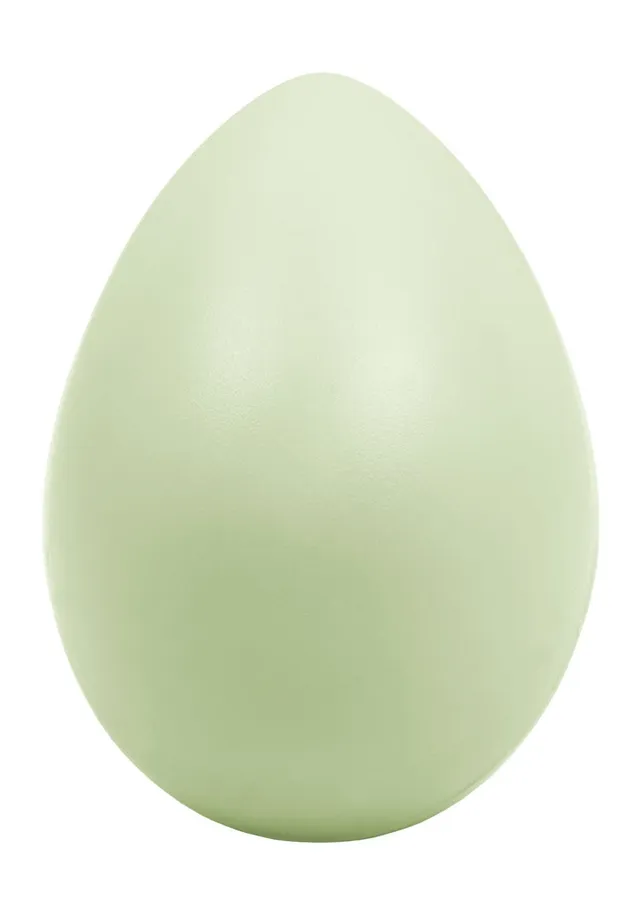 1stnote-egg-shaker-rhythmusei-rot-abs image 1